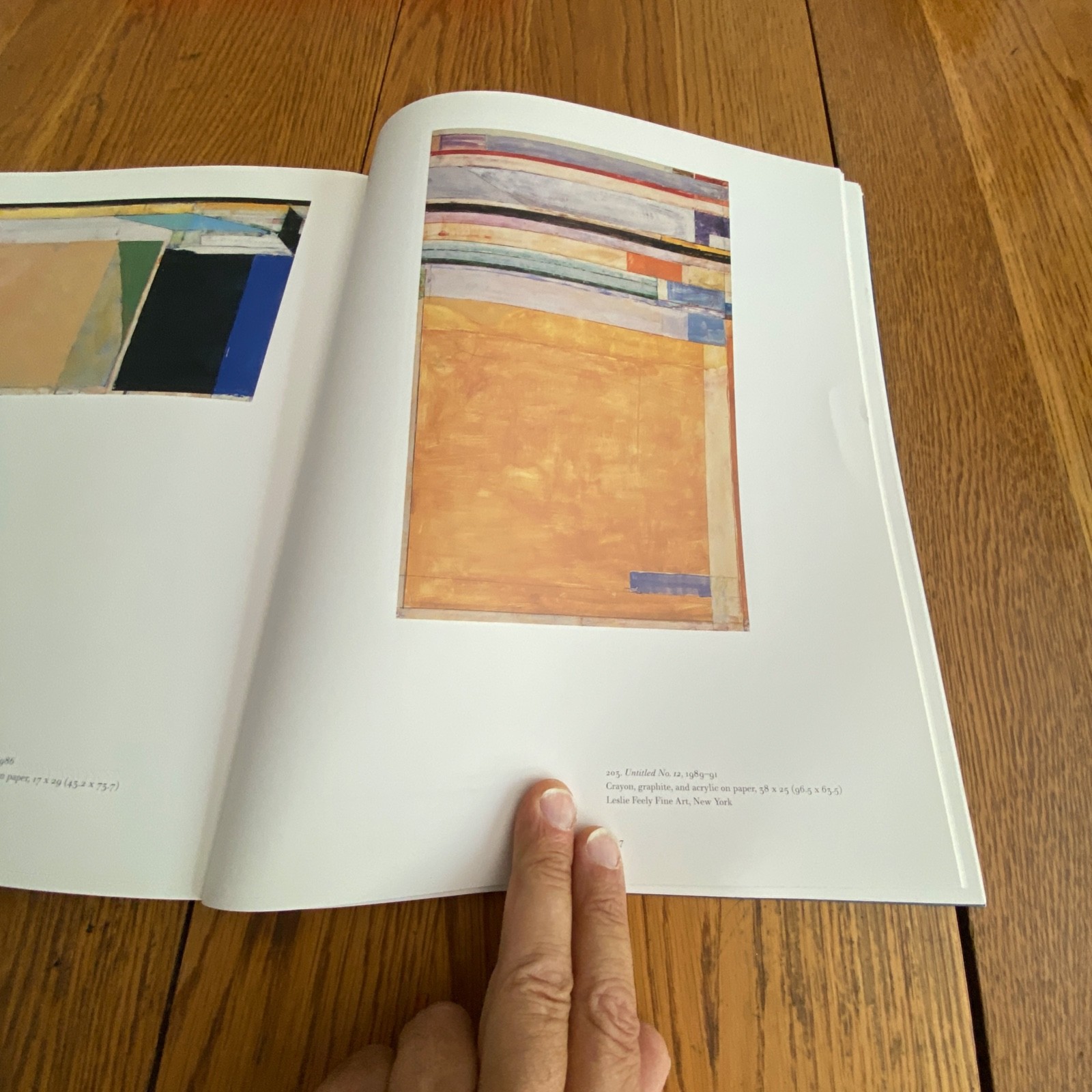 The Art of Richard Diebenkorn Jane Livingston Paperback 1997