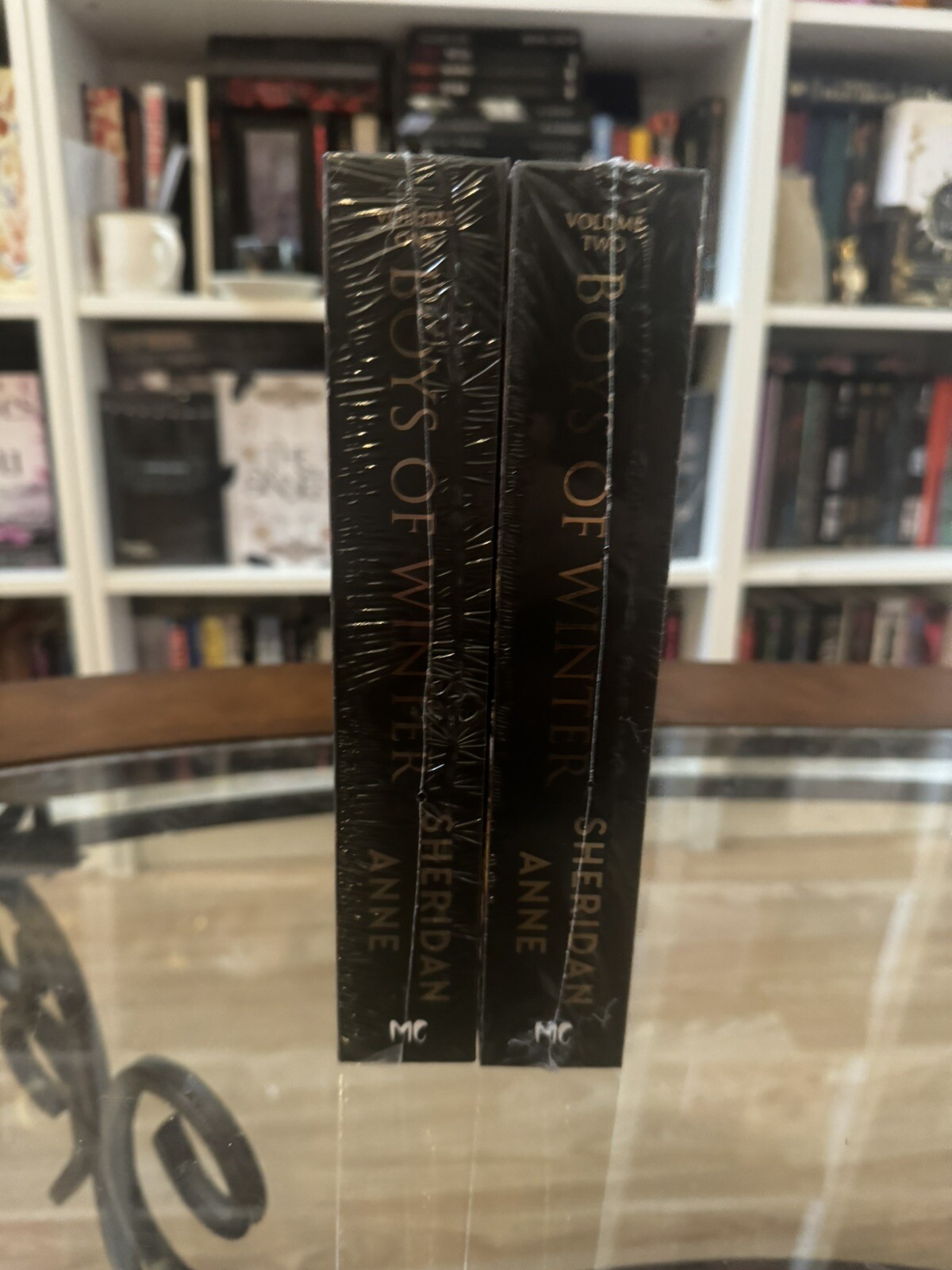 Motley Chronicles Sheridan Anne Boys Of Winter EXCLUSIVE Dark & Disturbed