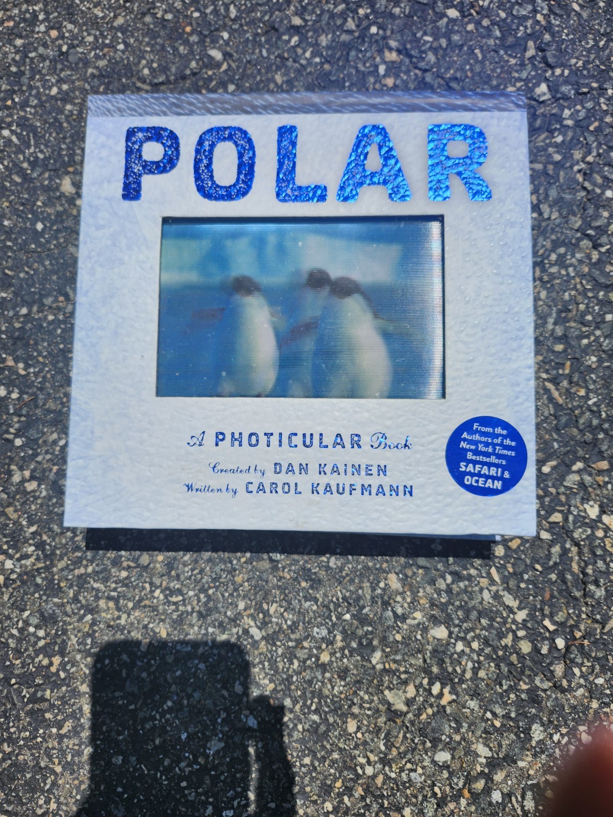 Polar : A Photicular Book by Carol Kaufmann and Dan Kainen (2015, Hardcover)