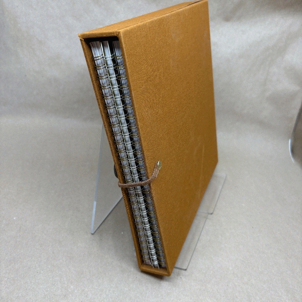 Three Stories by Michael Scott (Deluxe Slipcased Edition)
