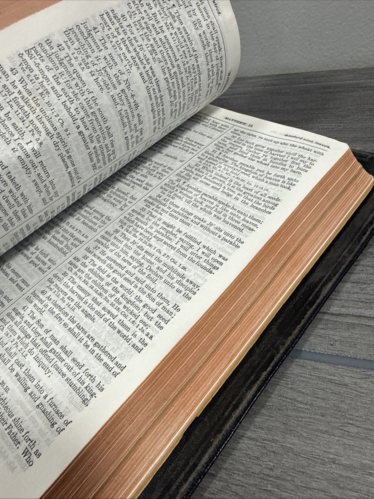 Holy Bible New Analytical Indexed Edition MOROCCO LEATHER Concordance Dickson