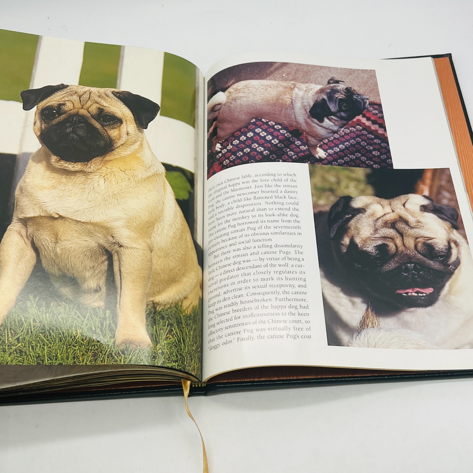 For The Love Of Pugs Book 1998 VTG Special Edition Robert Hutchinson EXC💥