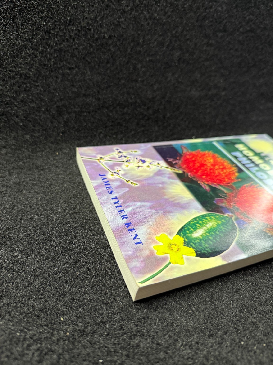 Kent’s Lectures on Homoeopathic Philosophy James Tyler Kent 2003 Homeopathy