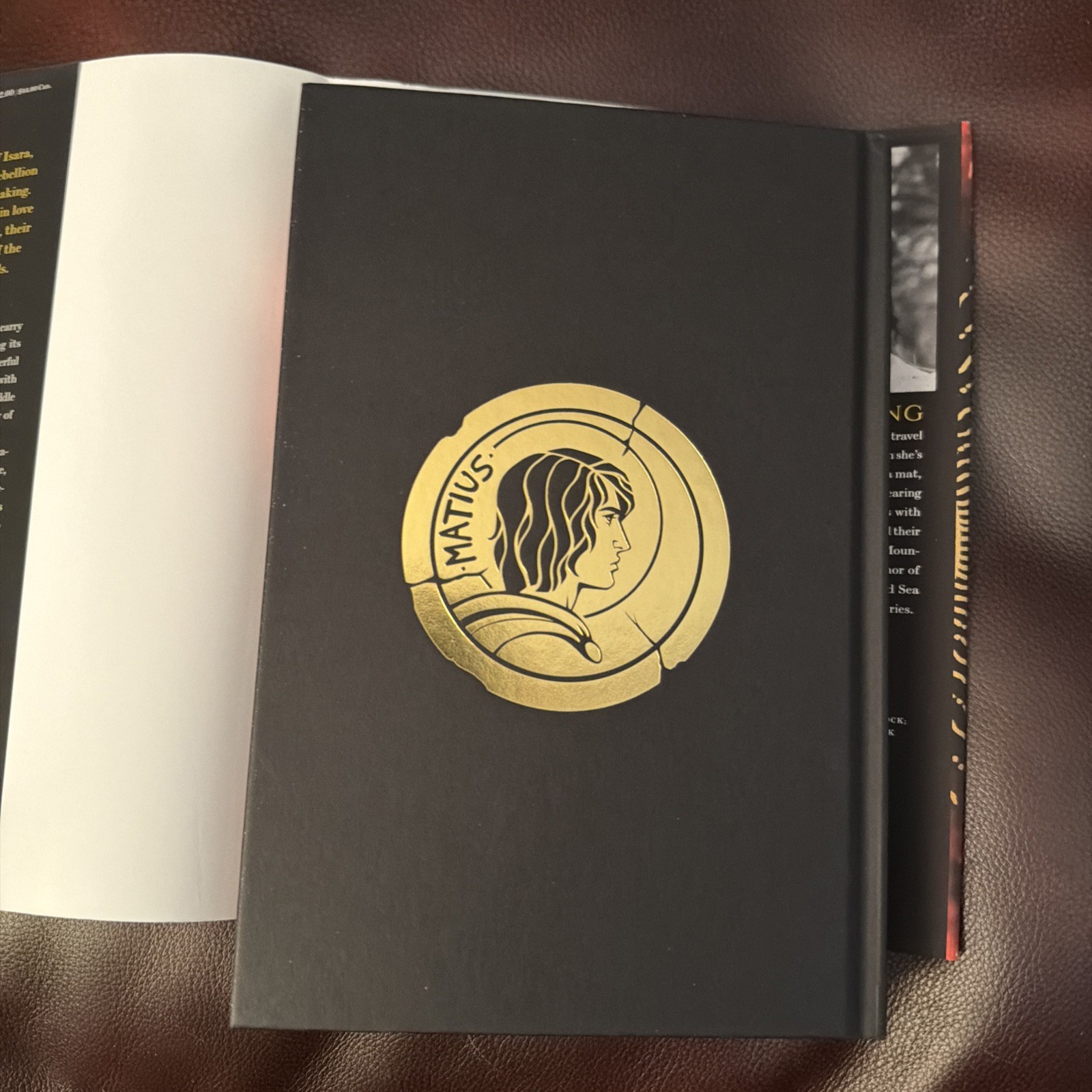 Fallen City by Adrienne Young (2025, HC) Hand-Signed With Photos & Page Overlay
