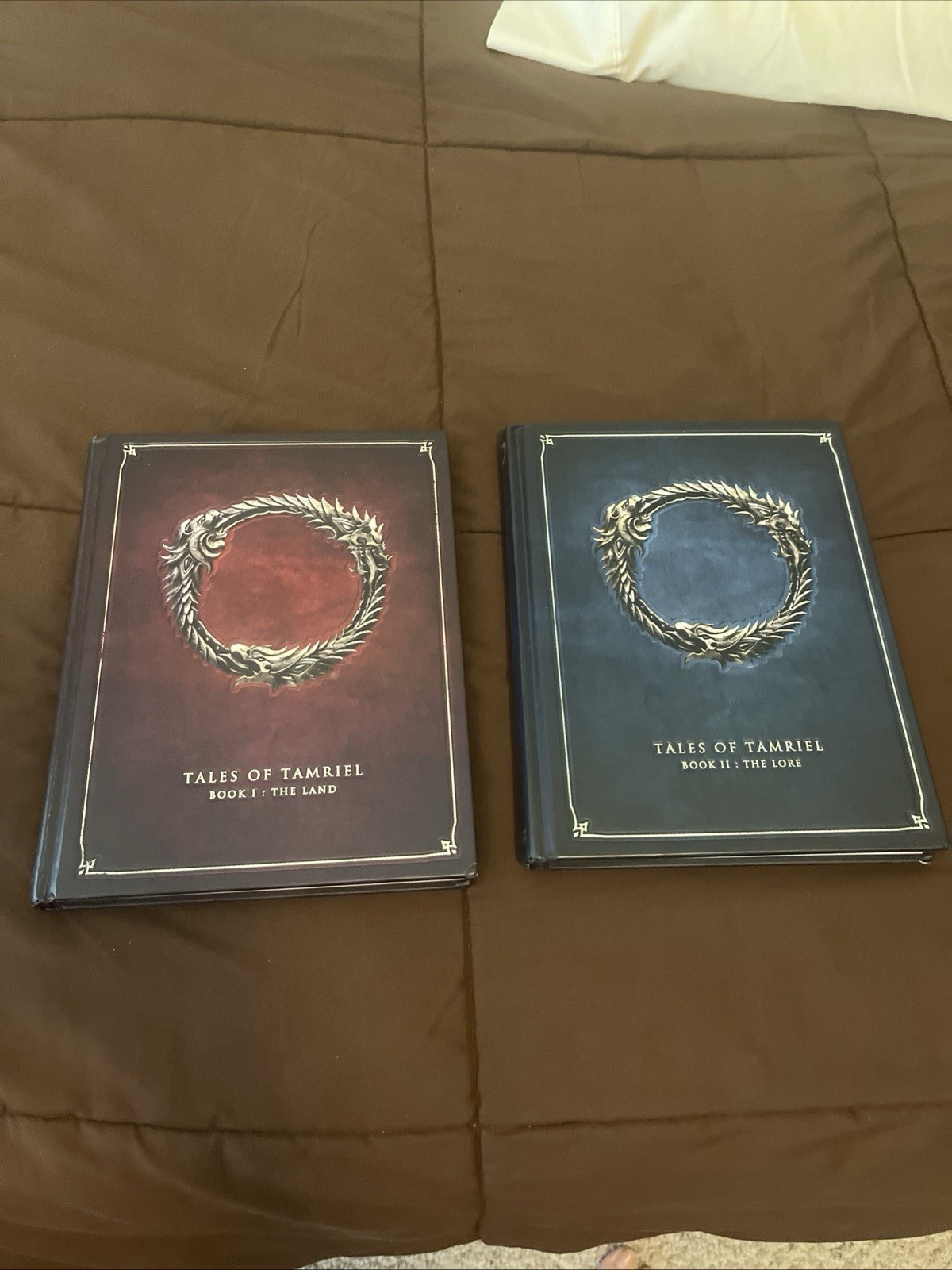 The Elder Scrolls 6 Tamriel Books Skyrim Oblivion Morrowind Online Video Game