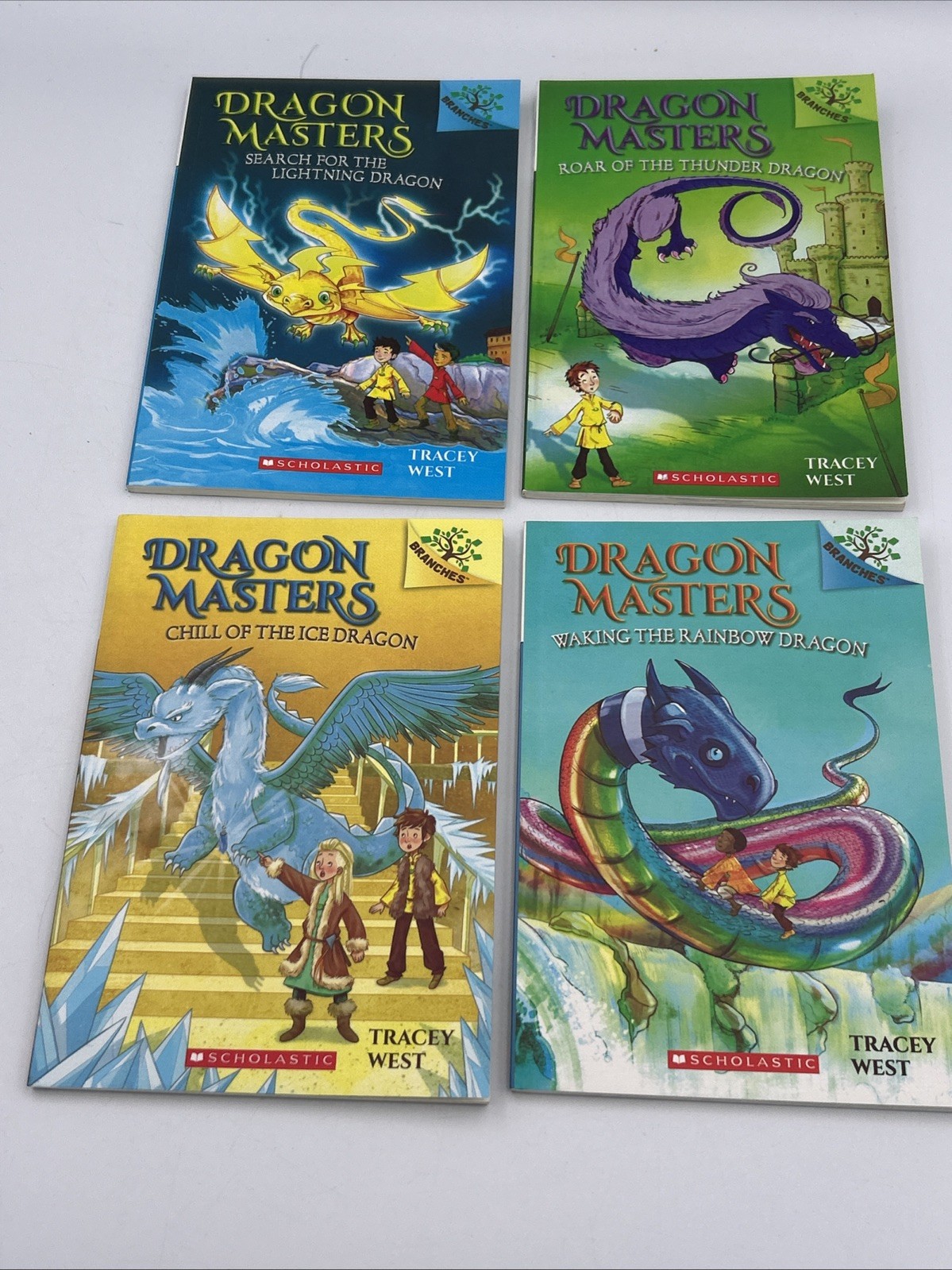 Dragon Masters Book Lot 13 PB Books Tracey West 2, 4-13, 16, 20 EUC Smoke Free