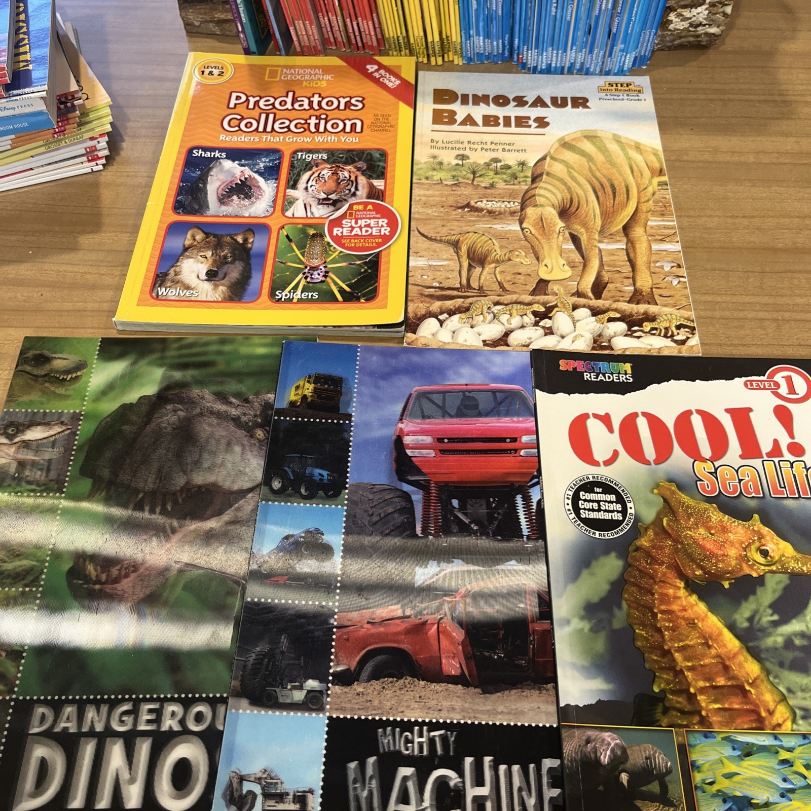 Lot of 120 Level My First & Level 1 I Can Read, Step Into Reading And More…