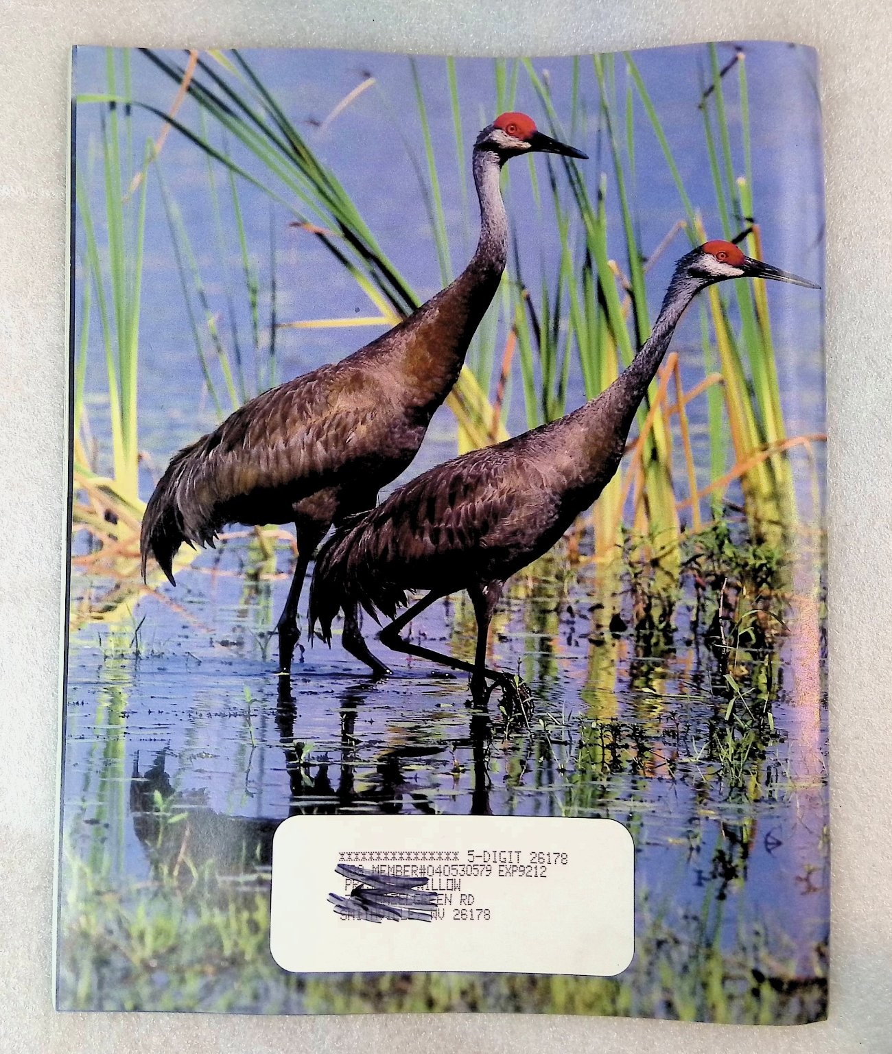 National Wildlife Magazine AUG-SEPT 1992 NATIONAL WILDLIFE FEDERATION