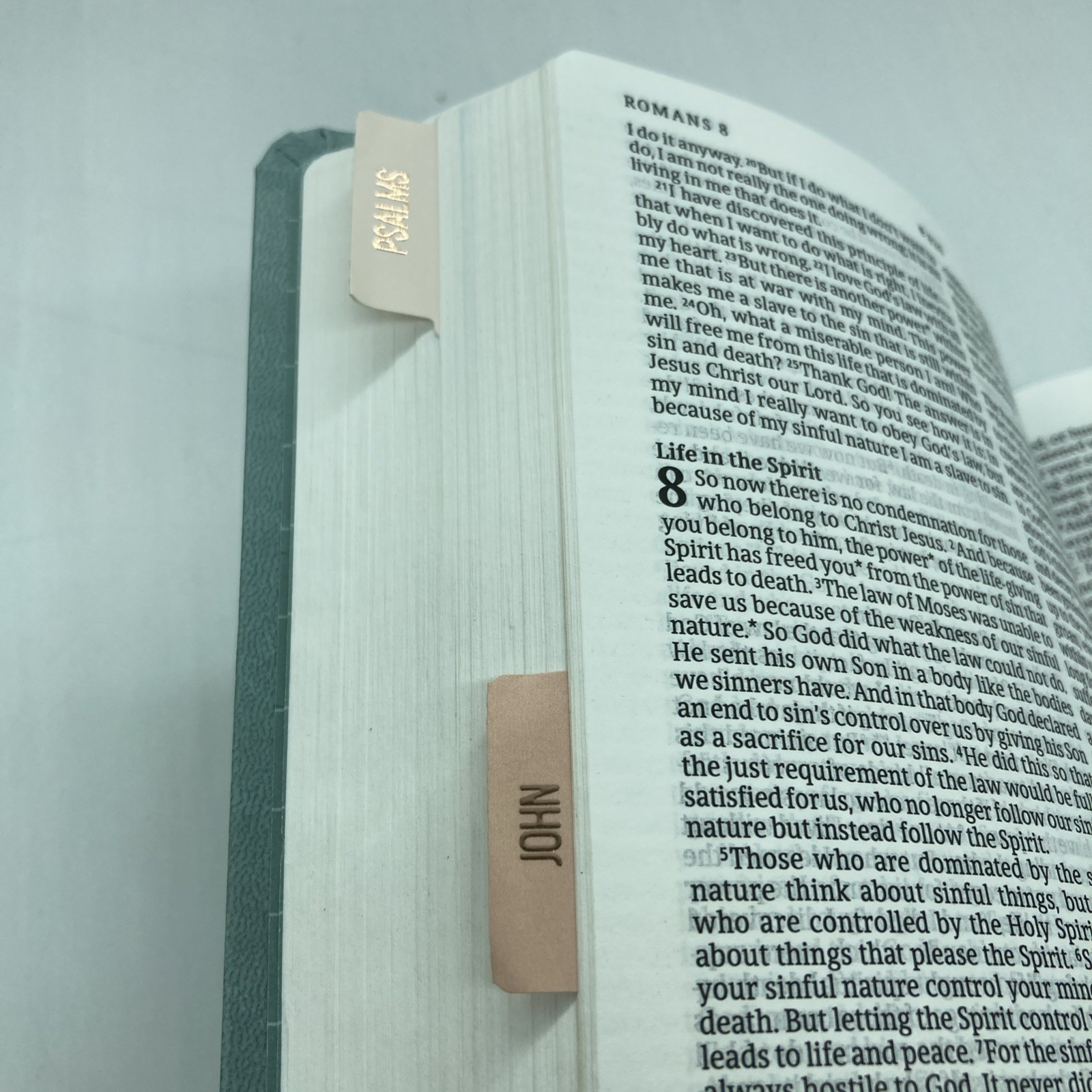NLT Premium Value Thinline Bible, Filament Enabled (LeatherLike, Bouquet Tea…
