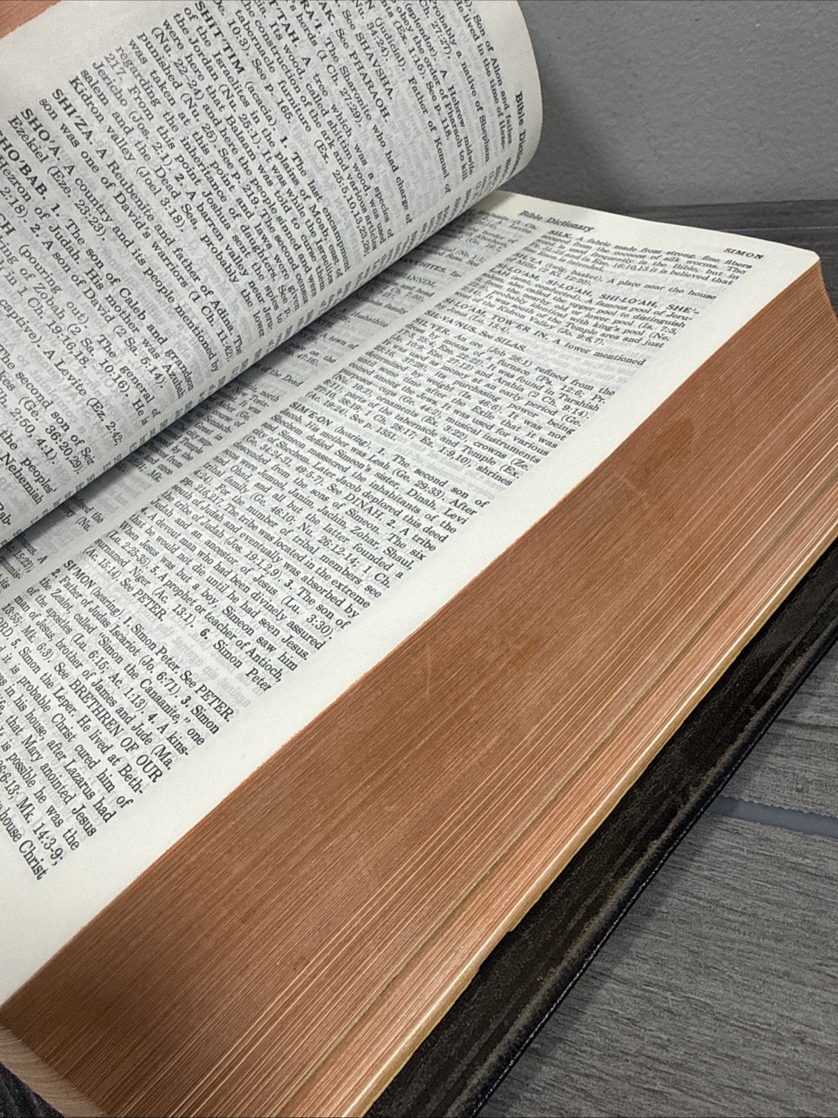 Holy Bible New Analytical Indexed Edition MOROCCO LEATHER Concordance Dickson
