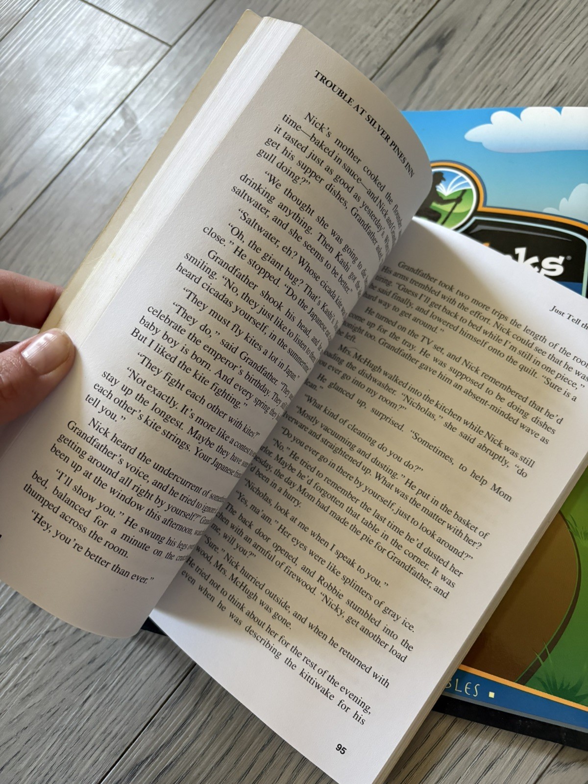 Reading 6 BJ BookLinks : Trouble at Silver Pines Inn