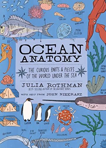 Ocean Anatomy: The Curious Parts & P…, Rothman, Julia