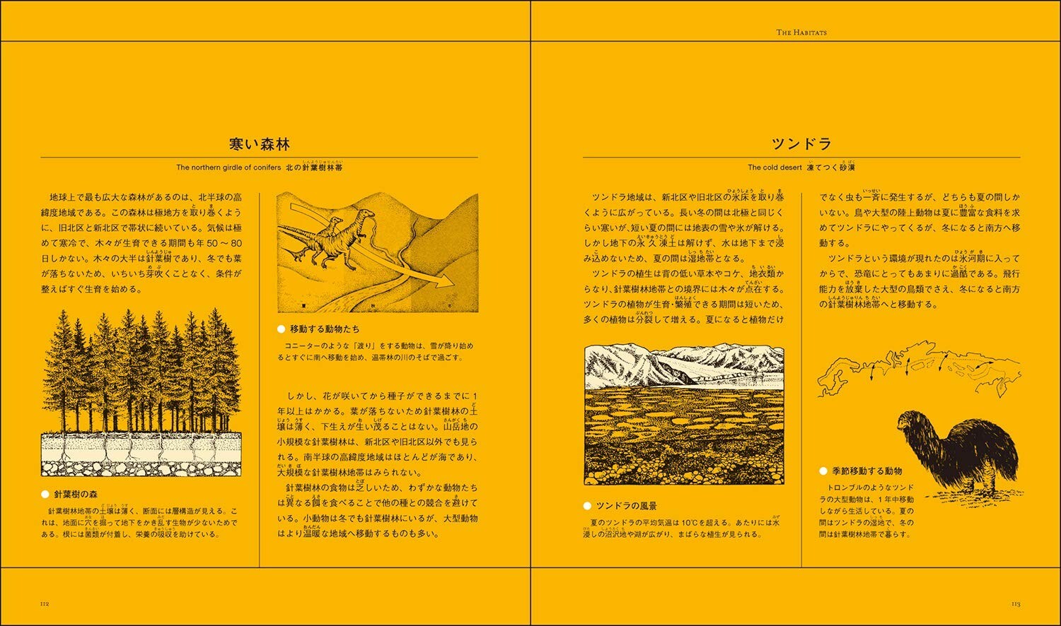 Dougal Dixon THE New Dinosaurs an Alternative Evolution Japan edition Book