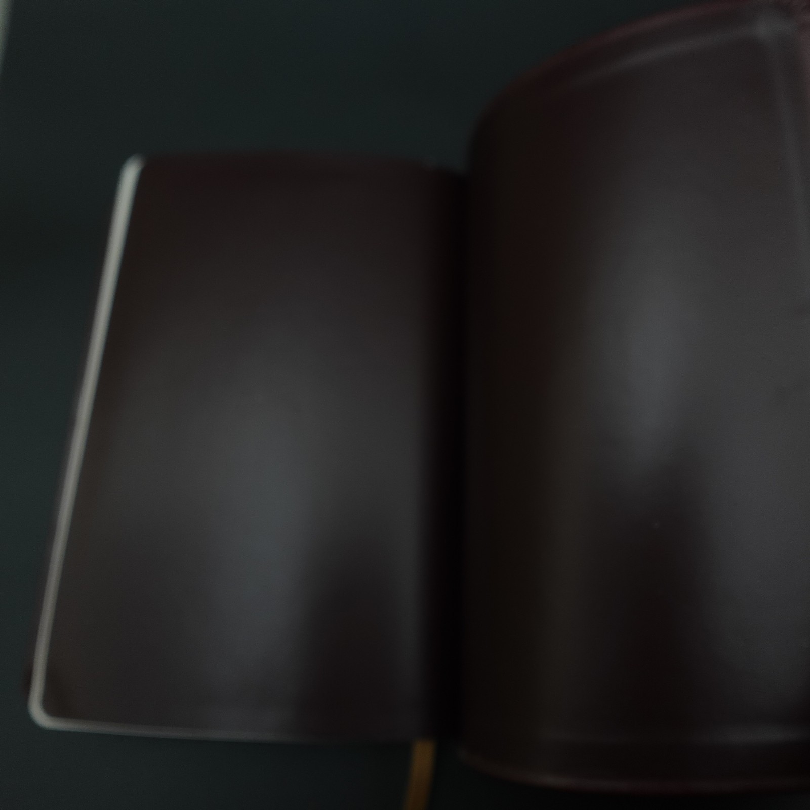 Douay Rheims Bible Burgundy Premium UltraSoft Catholic Bible St Benedict Press