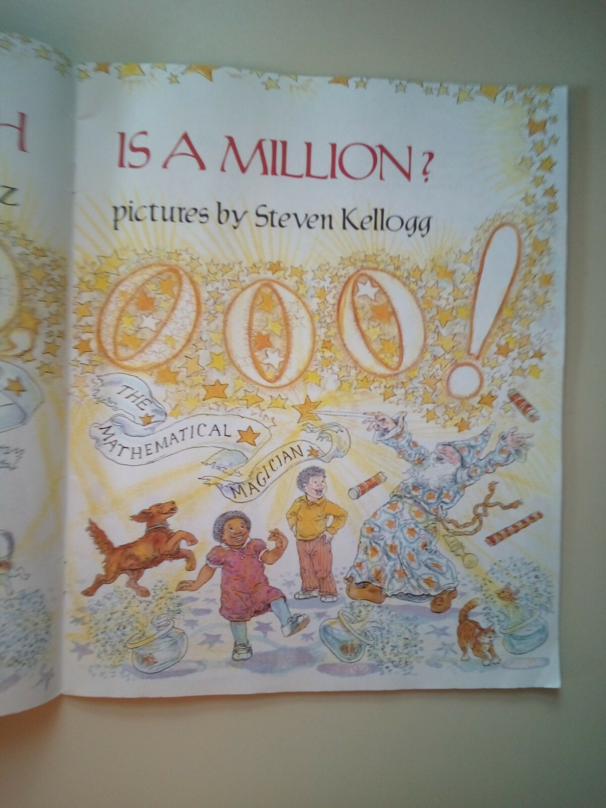 How Much Is A Million? By Schwartz 1985 Paperback