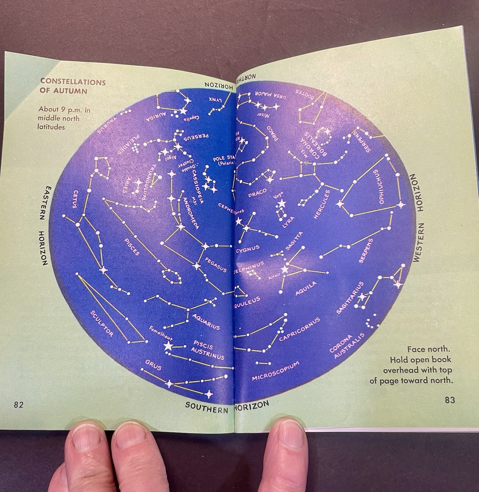 STARS A Golden Nature Guide Zim & Baker 1975 Revised Vintage