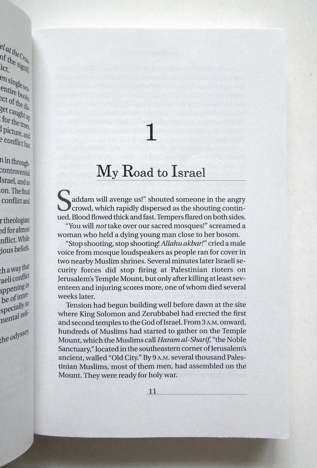 Israel at the Crossroads – David Dolan, 1998 sc, Fleming H. Revell
