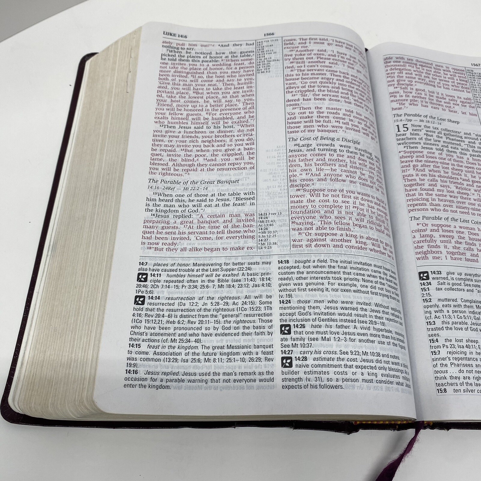 NIV Study Bible 10th Anniversary Edition Burgundy Leather Red Letter Used
