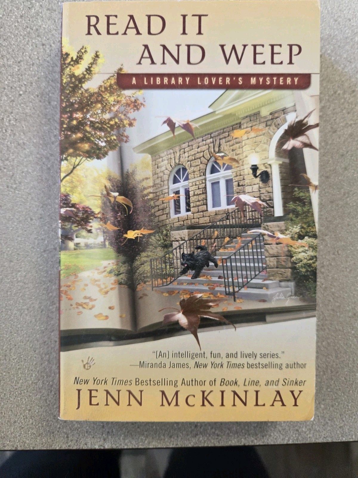 Jenn McKinlay Lot Of 12 Books. 10 Library Lovers Mysteries And 2 Bluff Romance