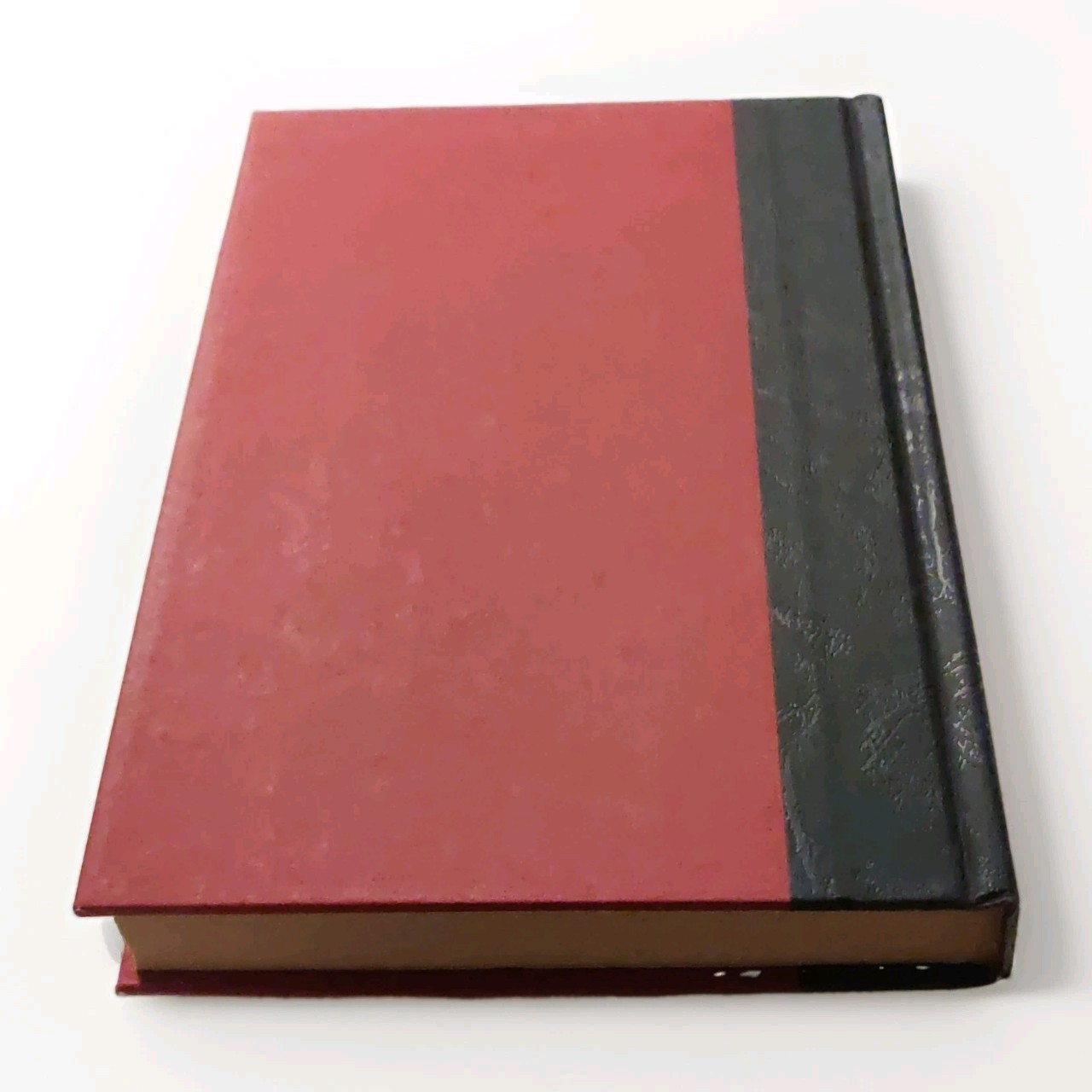 Notorious by Michele Martinez, HarperCollins 2008 HC 1st Ed w/ Dust Jacket