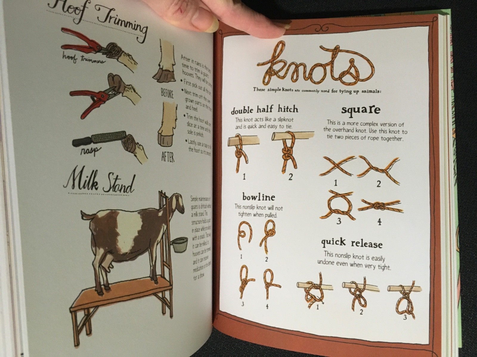 Lot 2 FARM ANATOMY Curious Parts of Country Life Julia Rothman + BACK TO BASICS