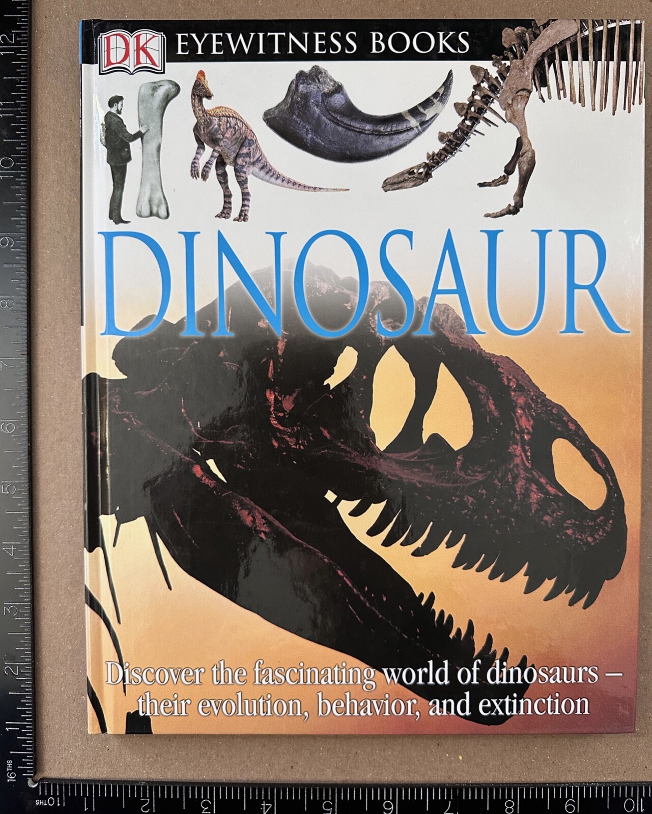 NORMAN: Dinosaur (DK Eyewitness Books) (DK Publishing, 2004)