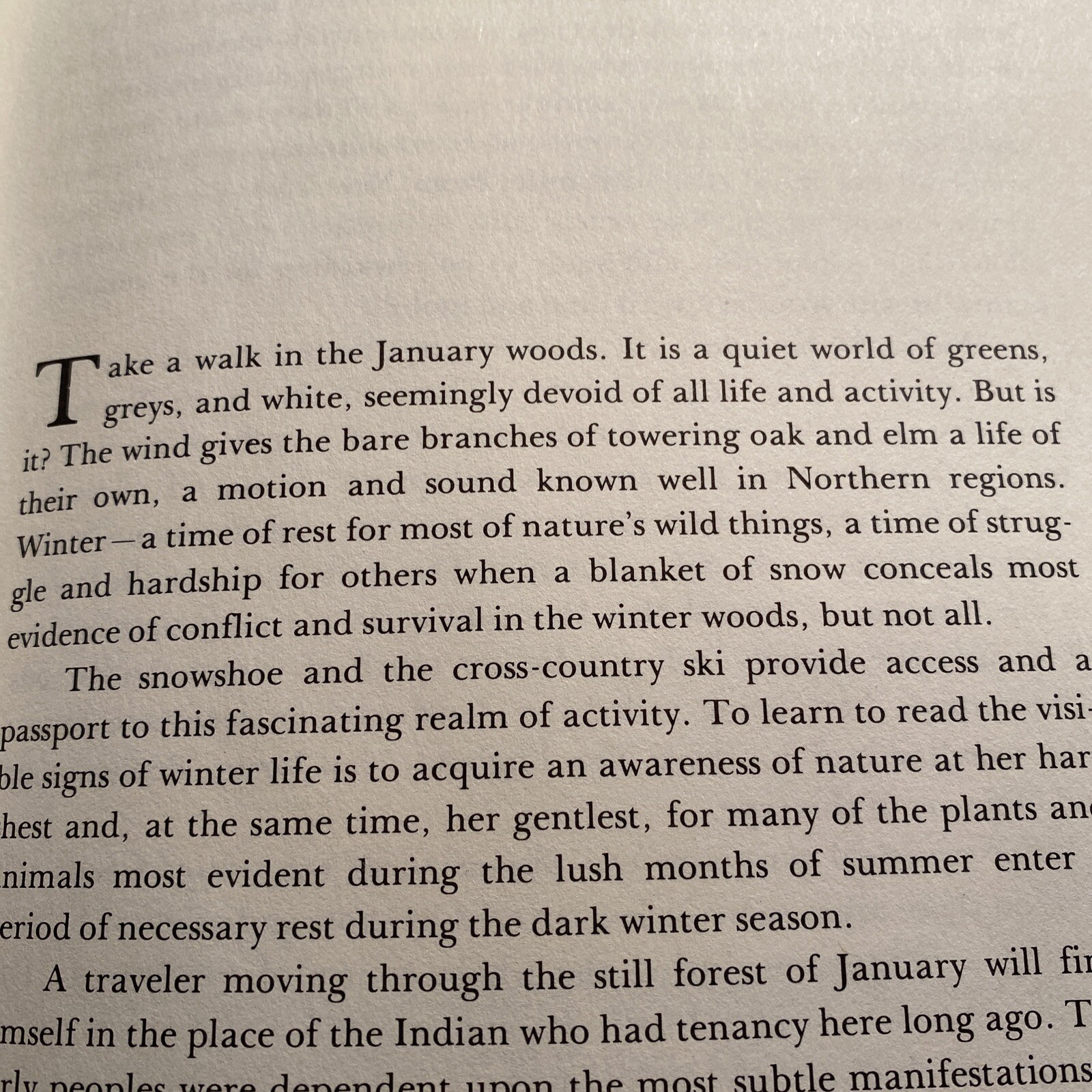 The Winter Woods and The Summer Woodlands by John Quinn Hardcover X library abi