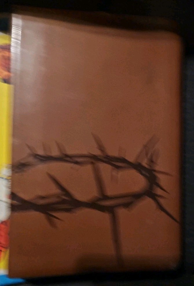 Holman Christian standard Bible brown simulated leather crown of thorns New