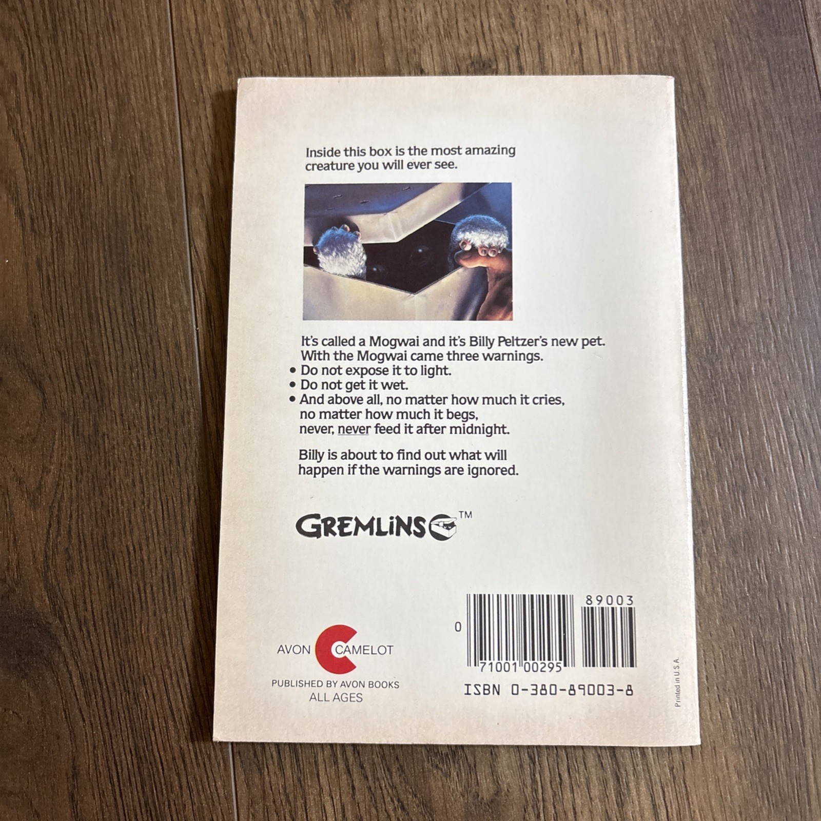 GREMLINS – 1984 – First Edition First Print Movie Tie-in Vintage Paperback