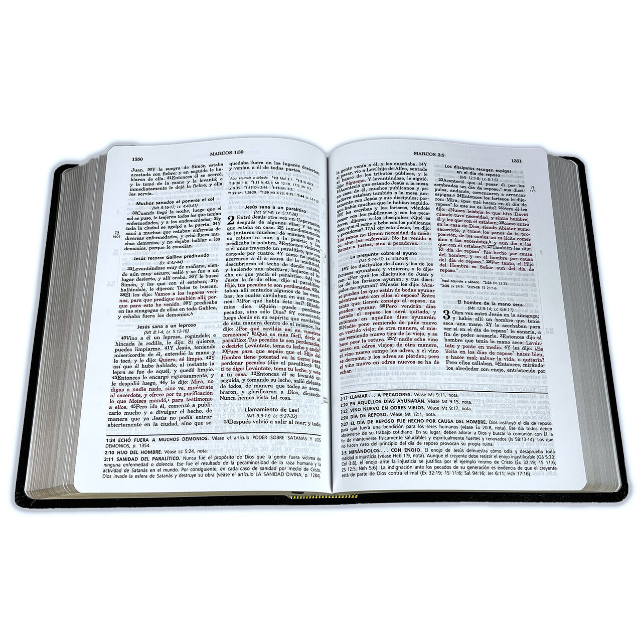 Biblia Pastoral de Estudio Vida Plena imit. piel negro – pentecostal