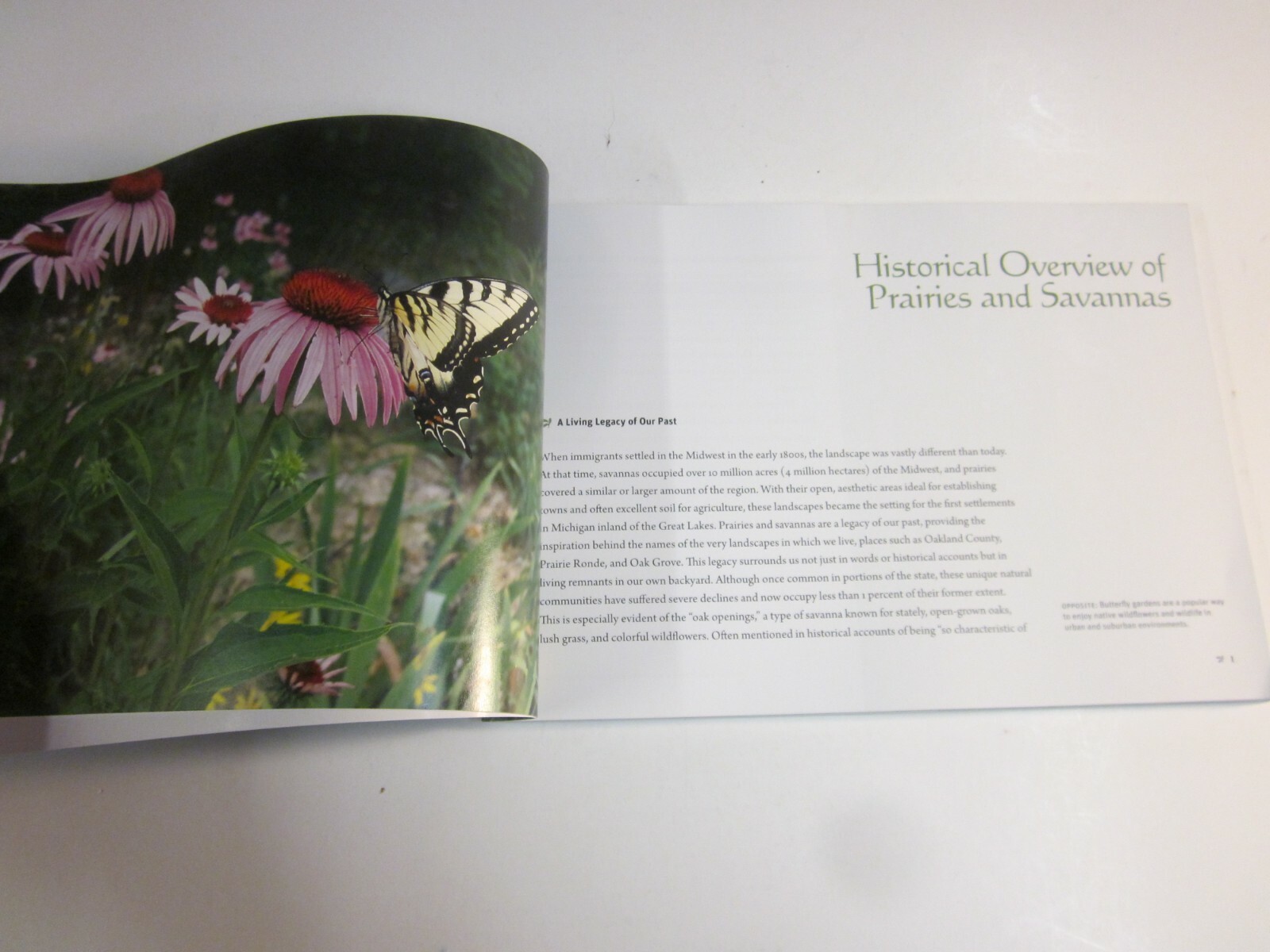 Prairies and Savannas in Michigan : Rediscovering Our Natural Heritage 2009