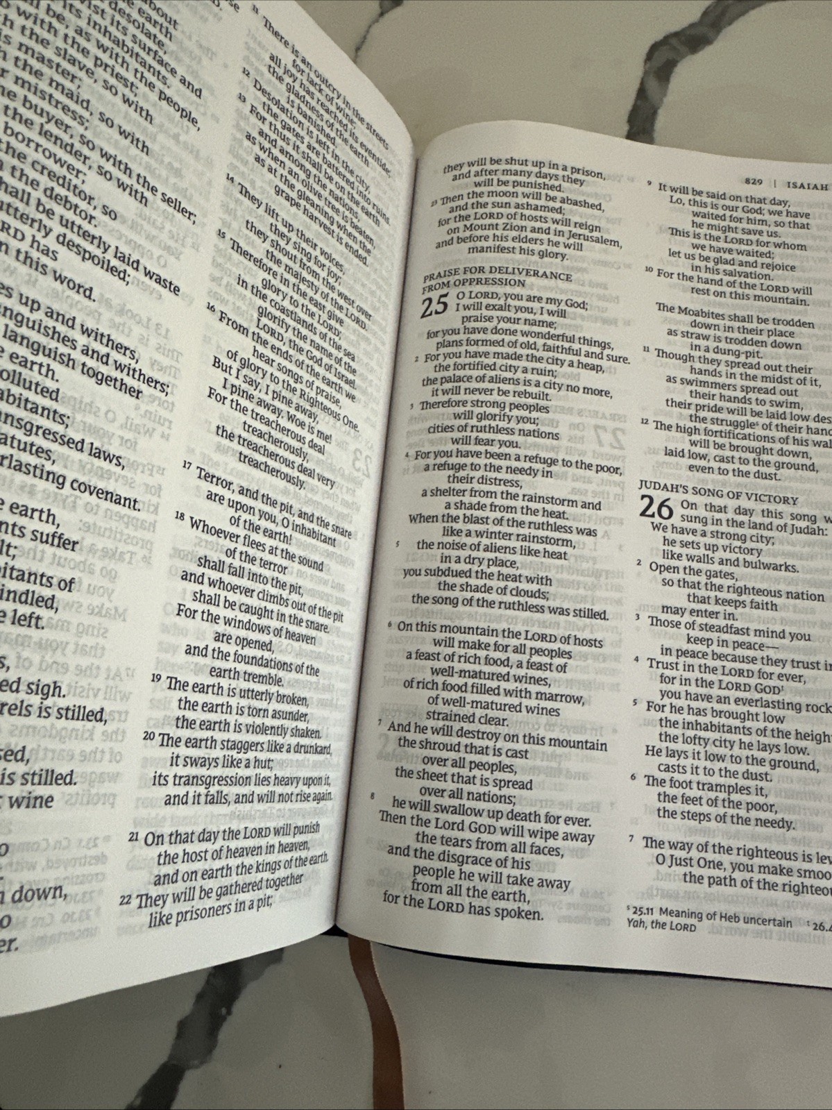 NRSV Large Print Imitation Leather by Catholic Bible Press Edition Black