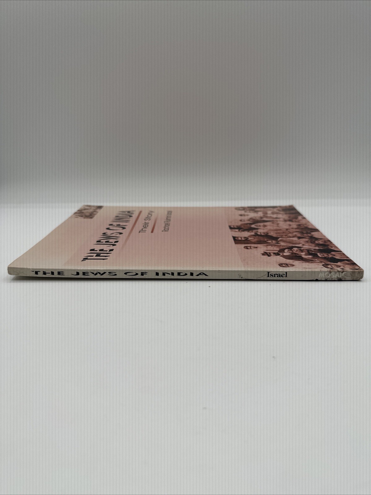 The Jews Of India Their Story Rachael Rukmini Israel 82 Pages 2002
