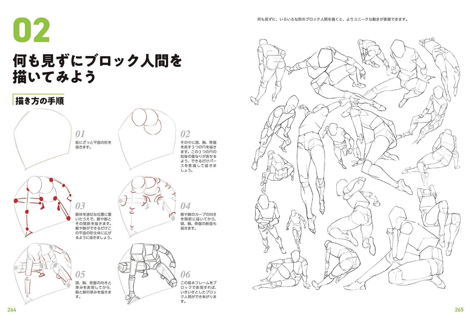 Japan NEW Master Guide to Drawing Human Figures Character Sketching Basics Manga