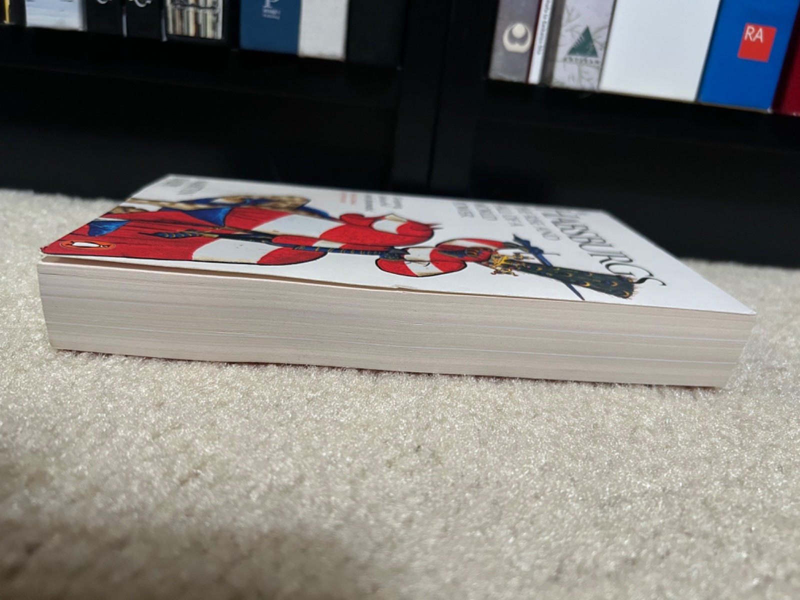 The Habsburgs: The Rise and Fall of a World Power – Rady, Martyn book