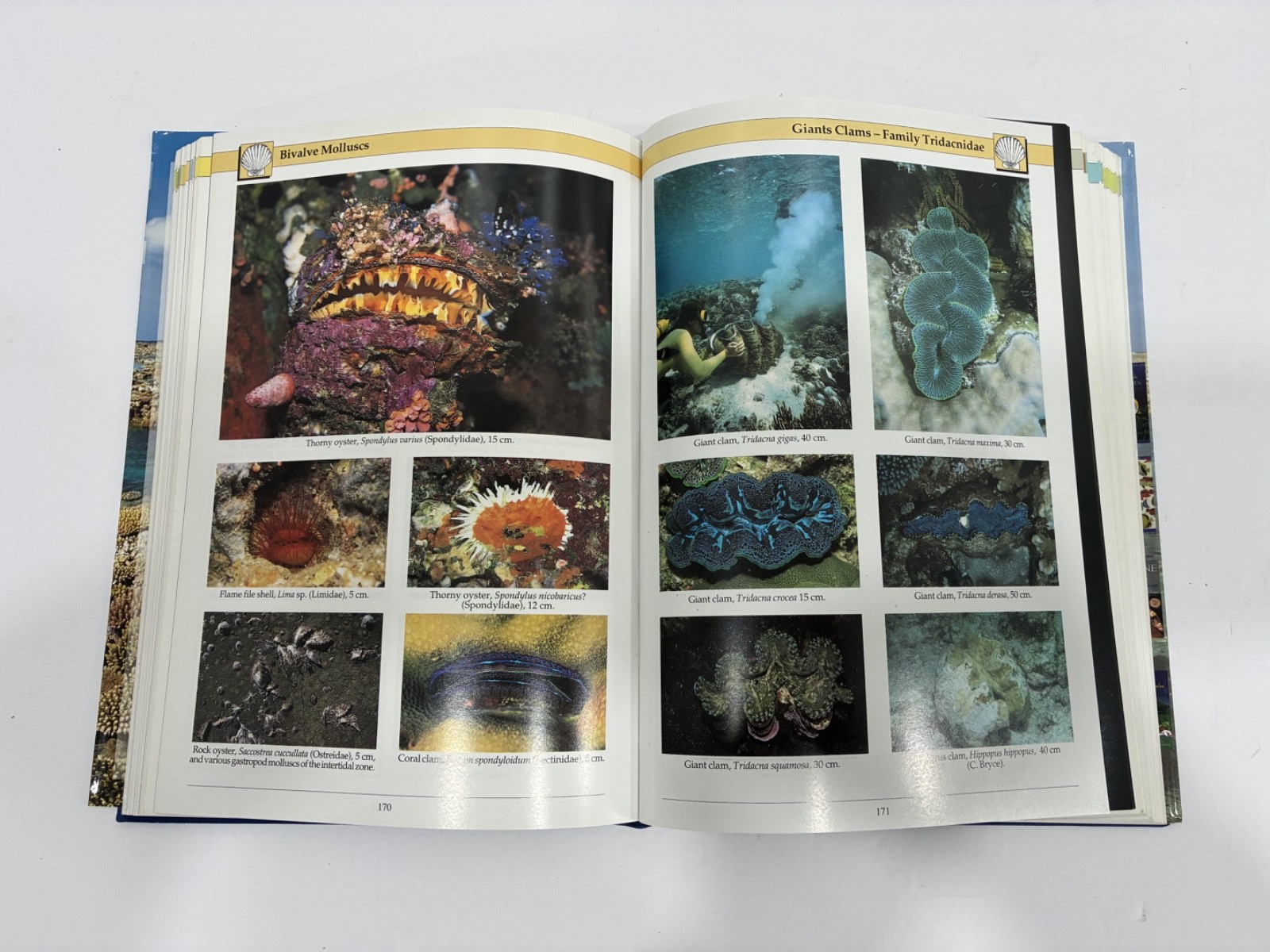 Coral Reef & Fishes 2 Books Field Guide and Identification