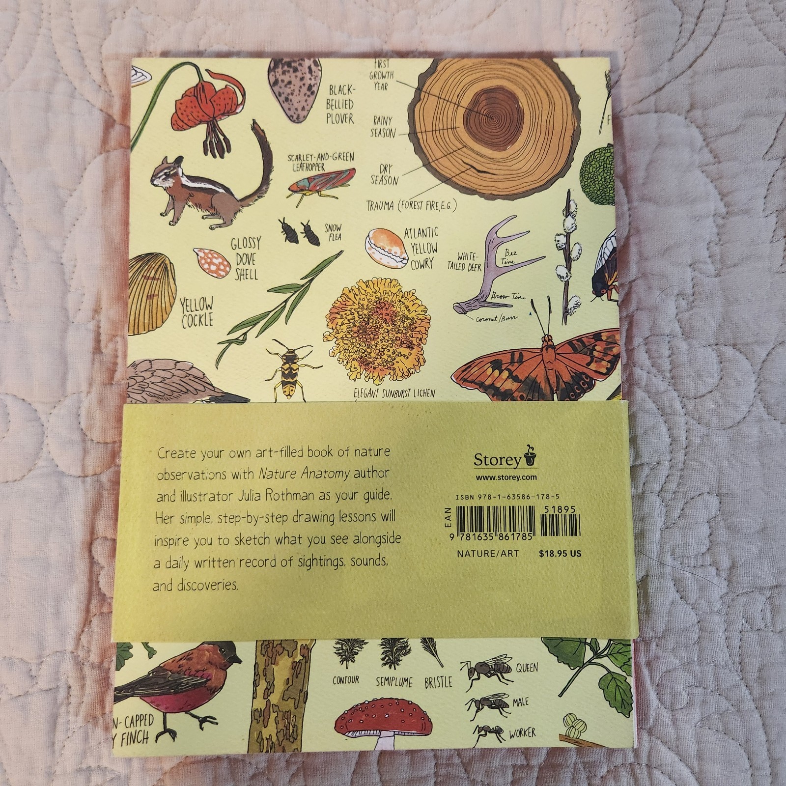 Nature Anatomy, Julia Rothman, Textbook and Notebook, Brandon New!!