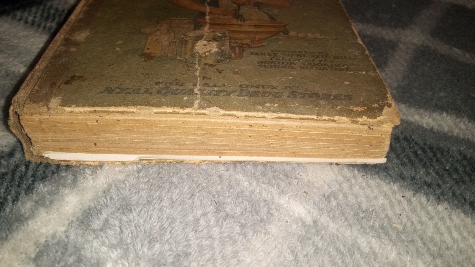 1916 Nyal Cook Book by Janet McKenzie Hill Boston Cooking School Illustrated