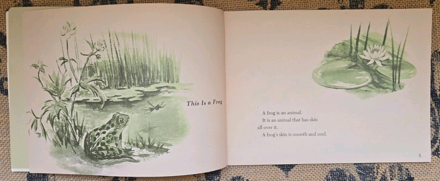 Stories about Frogs Childrens Book Lot Freddie the Frog, Hoppy Long Legs, Gorky