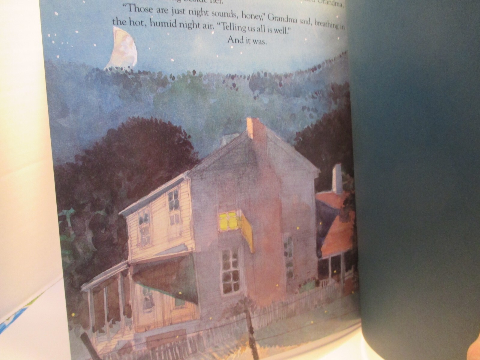 children’s picture book TANYA’S REUNION by FLOURNOY illus JERRY PINKNEY 1995 hc