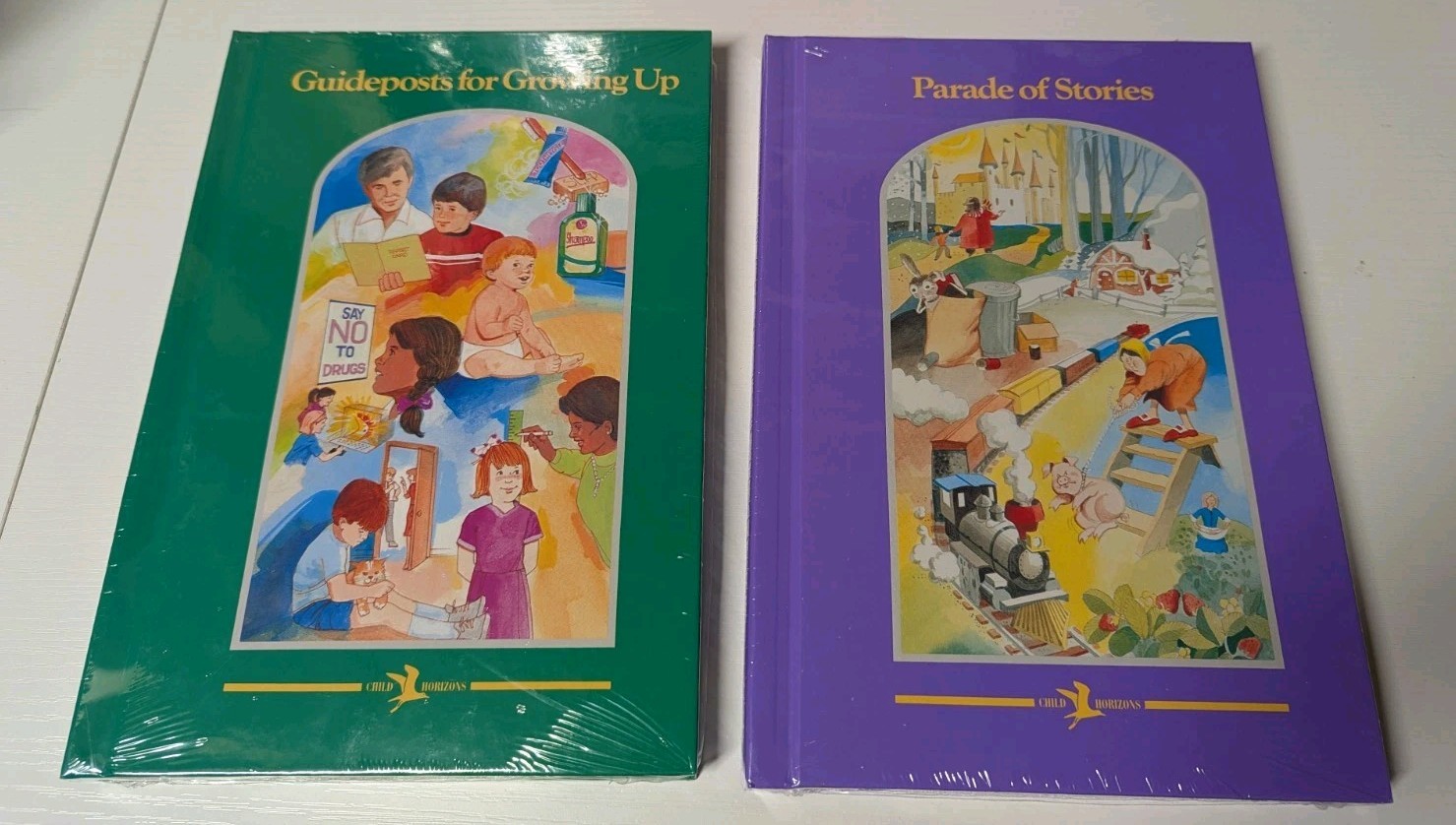 LOT OF 5 CHILD HORIZONS BOOKS STANDARD EDUCATION CORP Homeschool New