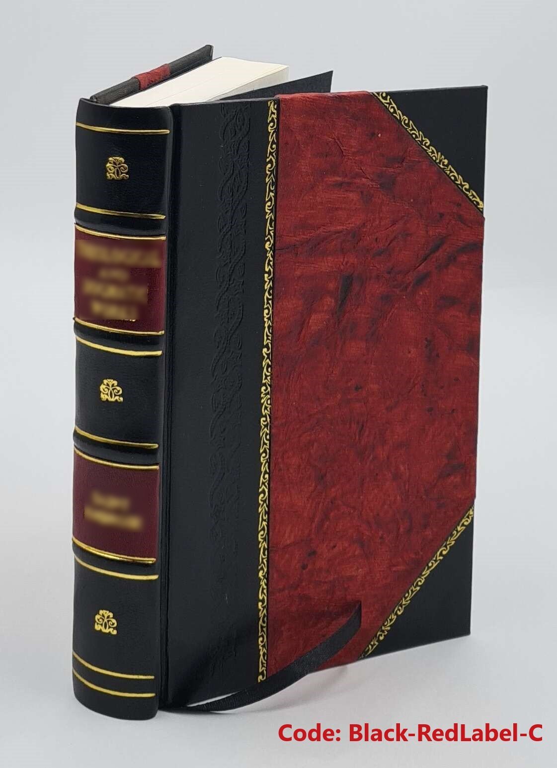 Die Gasmaschinen: Berechnung, Untersuchung und Ausführung der mi [Leather Bound]