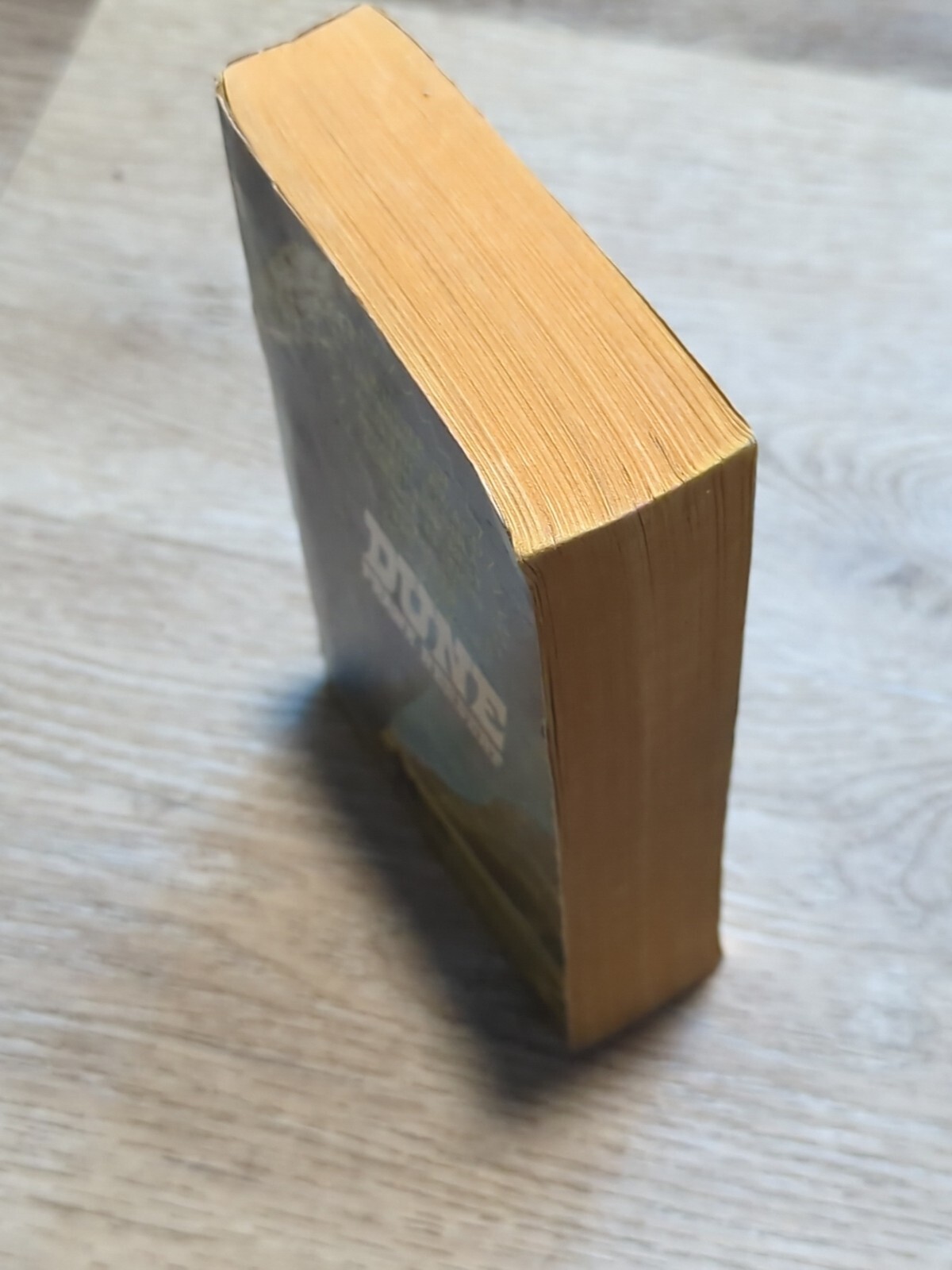Dune by Frank Herbert. 1965 Ace 17261 $1.25 1st paperback edition. Scifi Classic