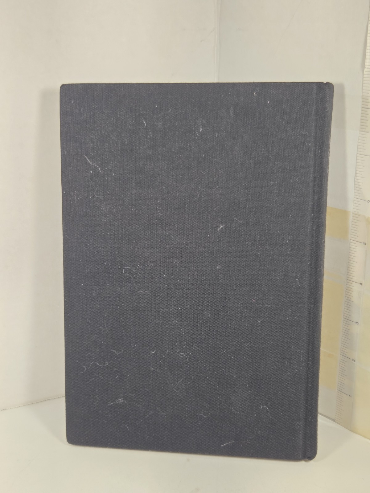 Death Note Another Note The Los Angeles BB Murder Cases Book