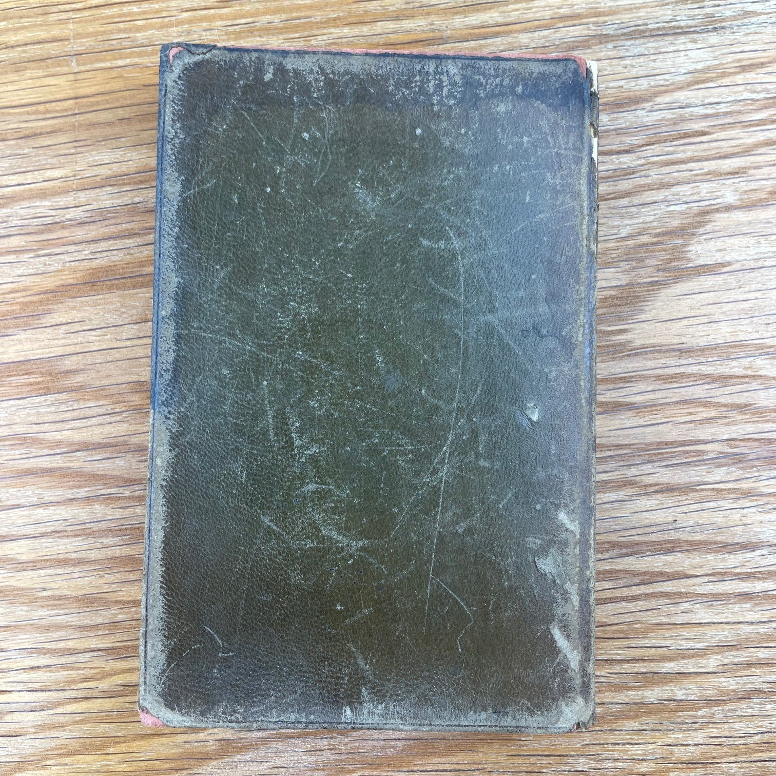 Vintage 1899 Prue And I George William Curtis Softcover Book