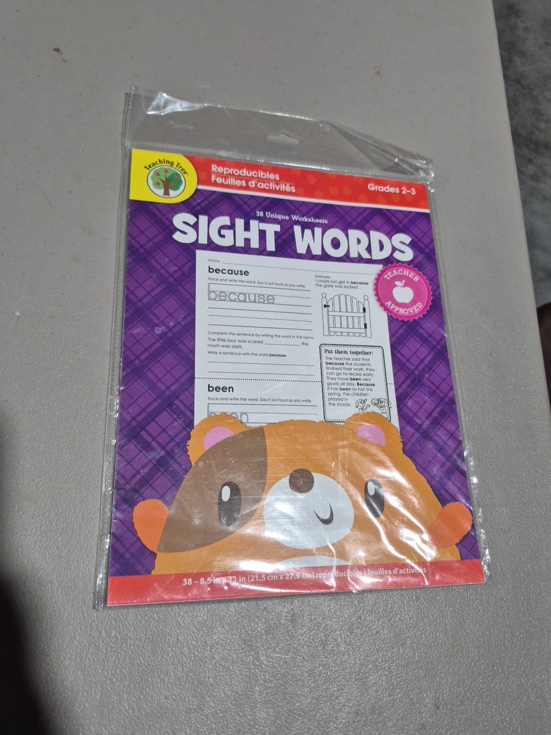 Reproducible Educational Sheets Workbook ~ Grades 2 – 3 ~ 38 Unique Worksheets