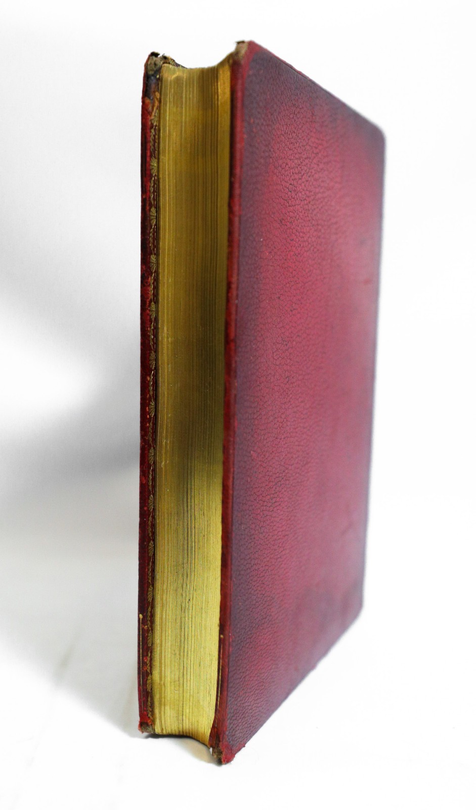 The Household of Sir Thomas More, 1896 Illlustrated, Fine Binding, Gilt Pages