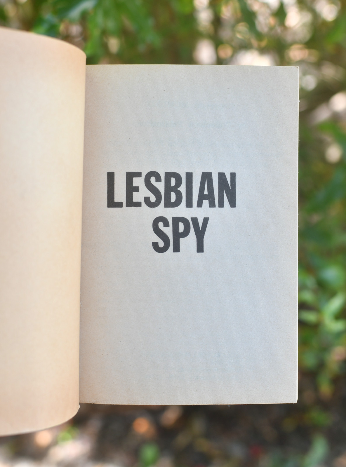 Lesbian Spy Paperback: 1969 First Printing Publisher: Collectors Publica