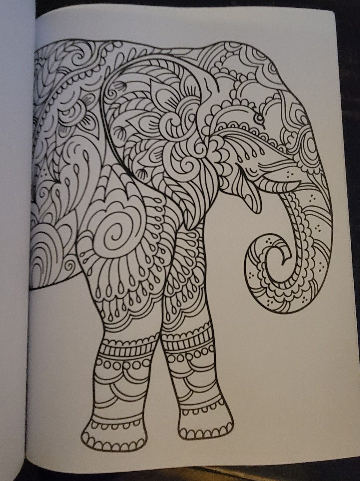 COLORS OF THE WILD Vol. 19 Adult Coloring Book With 47 Prints Ready To Frame!