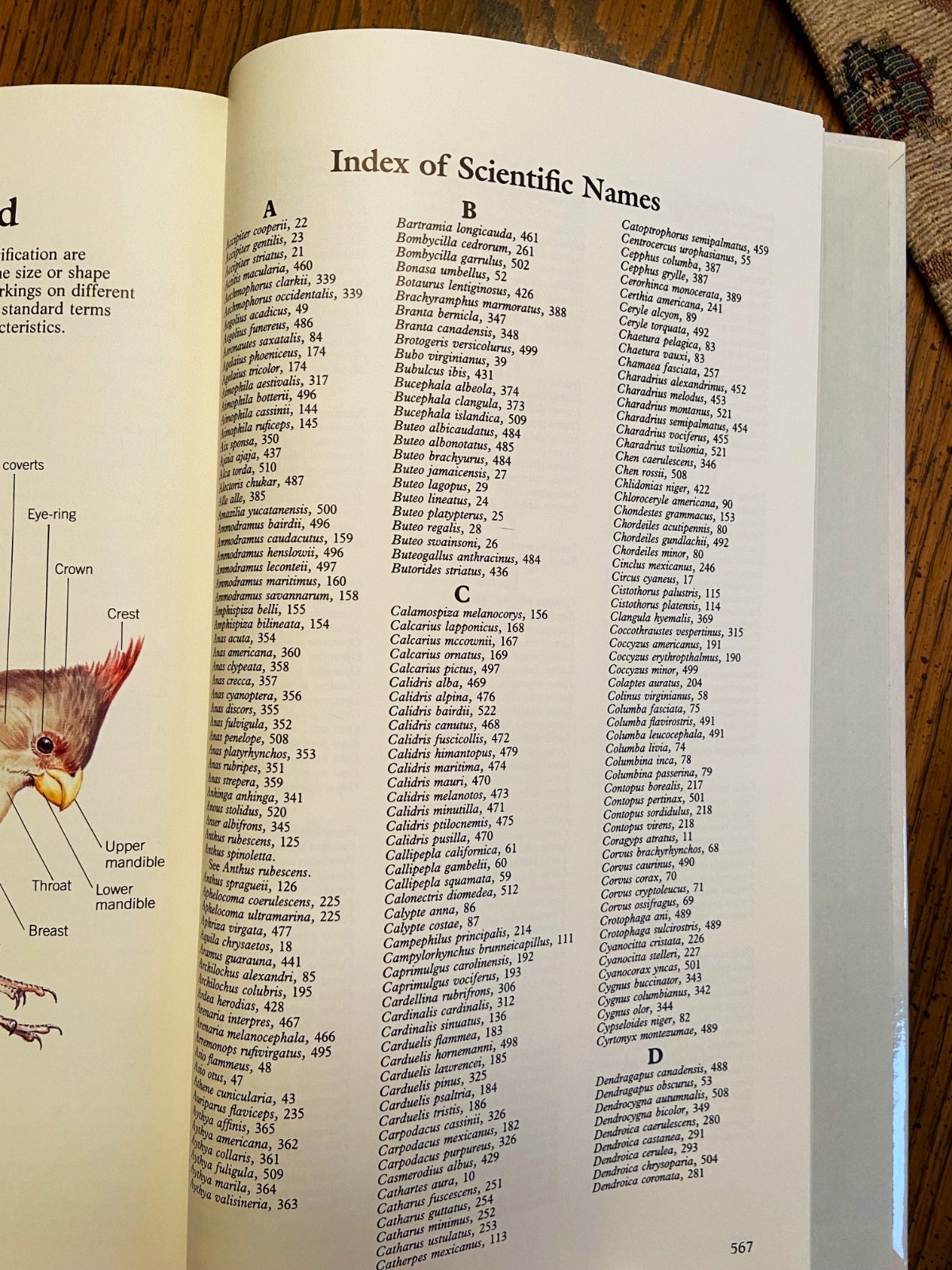 Vintage Reader’s Digest “BOOK of NORTH AMERICAN BIRDS”, hardcover, 576 pgs, Mint